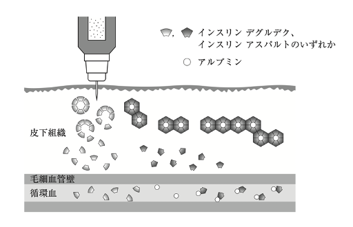 解説画像